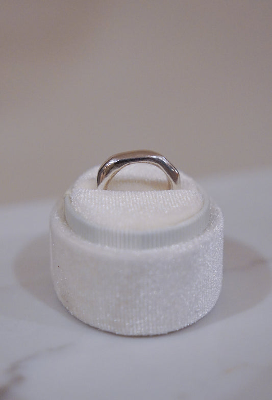 Mount Sinai Ring No.3