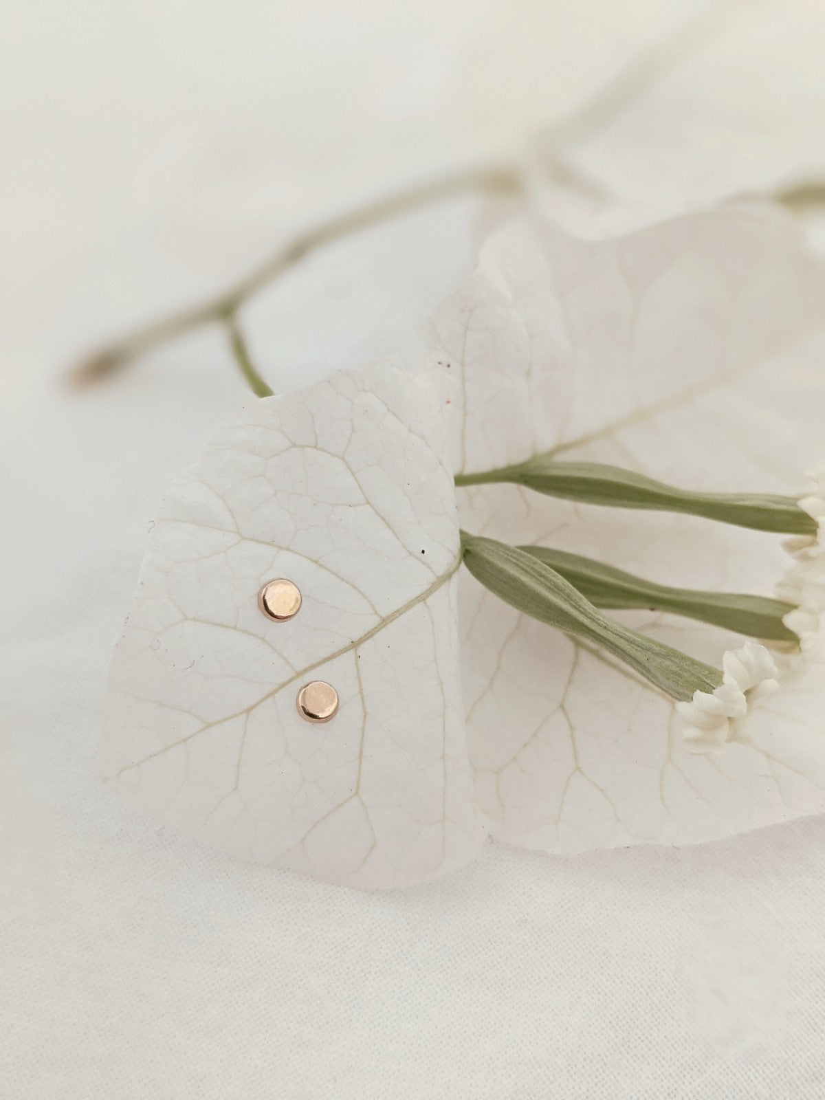 Button Disc Stud Earrings